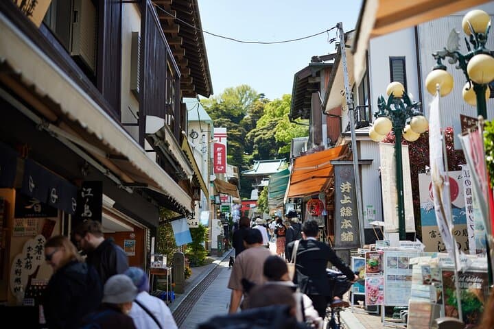 Private Enoshima and Kamakura Custom Walking Tour — photo 8