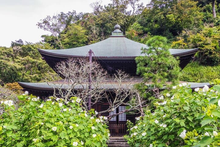Private Enoshima and Kamakura Custom Walking Tour — photo 20