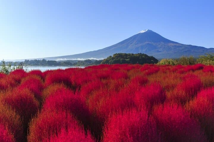 Mt. Fuji & Hakushu Distillery Whisky Museum Bus Tour from Tokyo — photo 11