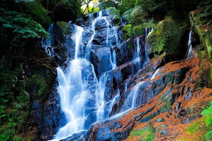 Shiraito Falls Raizan Temple Sakurai Meotoiwa Tour from Fukuoka — photo 4