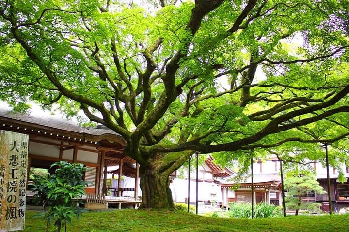 Shiraito Falls Raizan Temple Sakurai Meotoiwa Tour from Fukuoka — photo 6