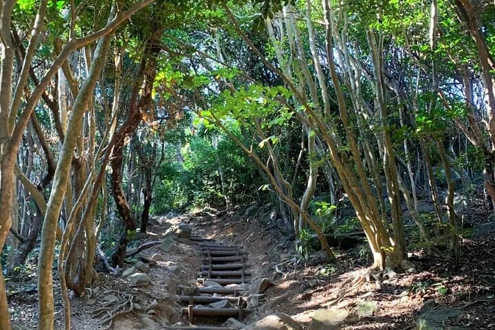 Shiraito Falls Raizan Temple Sakurai Meotoiwa Tour from Fukuoka — photo 8