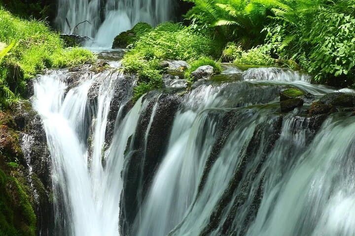 Shiraito Falls Raizan Temple Sakurai Meotoiwa Tour from Fukuoka — photo 3
