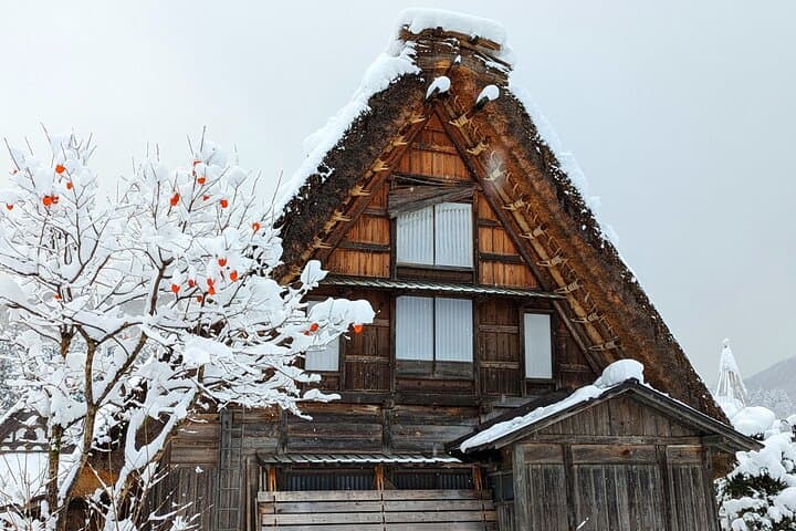 1-Day Takayama Tour: Explore Scenic Takayama and Shirakawago — photo 4