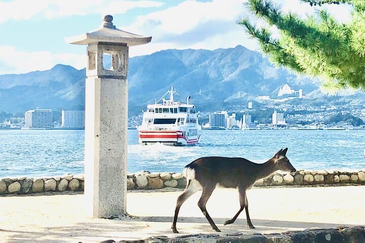 7 hours Private Customizable Walking Tour in Hiroshima — photo 10