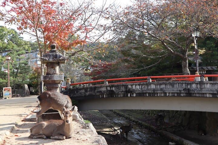 7 hours Private Customizable Walking Tour in Hiroshima — photo 11