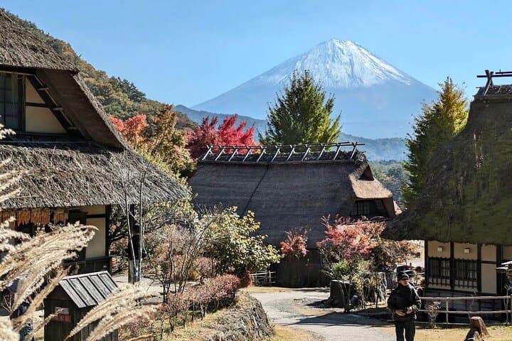 Mt fuji & Hakone customizable day tour w/ English speaking driver — photo 18
