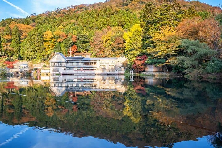 Beppu & Yufuin Day Tour with Frog Shrine from Fukuoka — photo 16