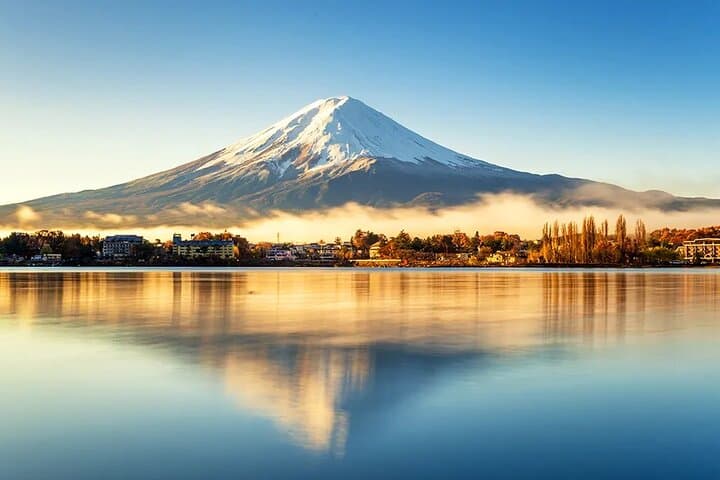 Instagram Mt. Fuji Spots & Kawaguchiko's Four Seasons Flower Tour — photo 5