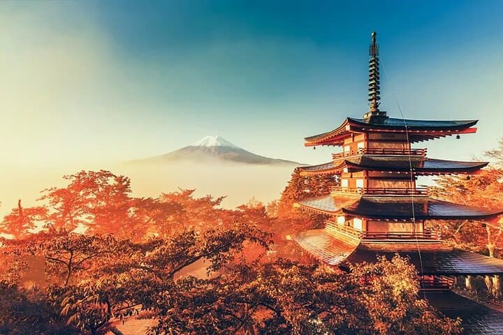 Instagram Mt. Fuji Spots & Kawaguchiko's Four Seasons Flower Tour — photo 1