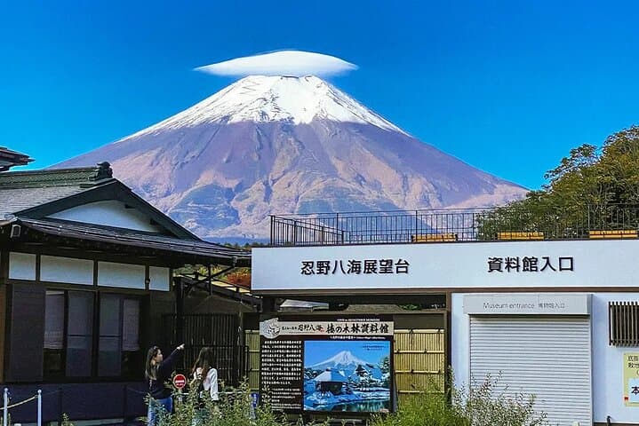 Instagram Mt. Fuji Spots & Kawaguchiko's Four Seasons Flower Tour — photo 6