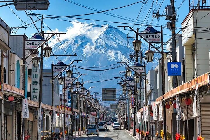 Instagram Mt. Fuji Spots & Kawaguchiko's Four Seasons Flower Tour — photo 14