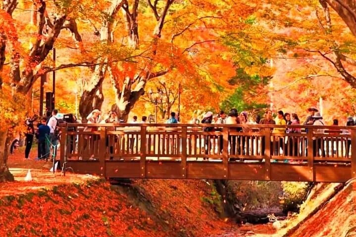 Instagram Mt. Fuji Spots & Kawaguchiko's Four Seasons Flower Tour — photo 9