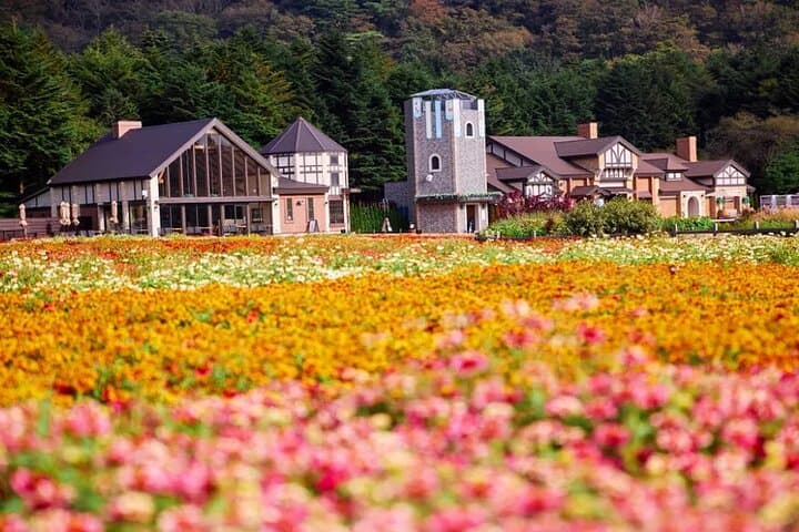 Instagram Mt. Fuji Spots & Kawaguchiko's Four Seasons Flower Tour — photo 7