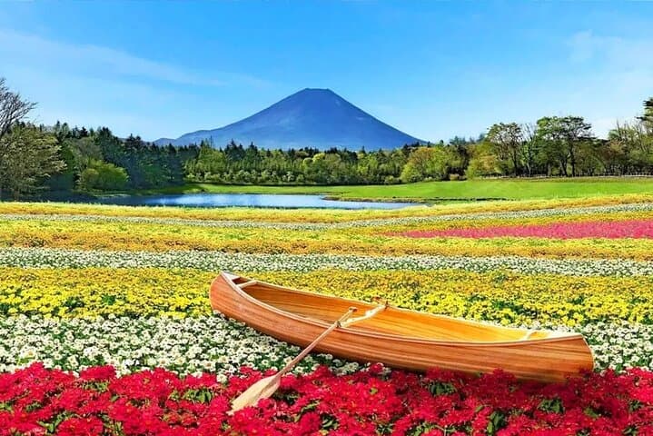 Instagram Mt. Fuji Spots & Kawaguchiko's Four Seasons Flower Tour — photo 2