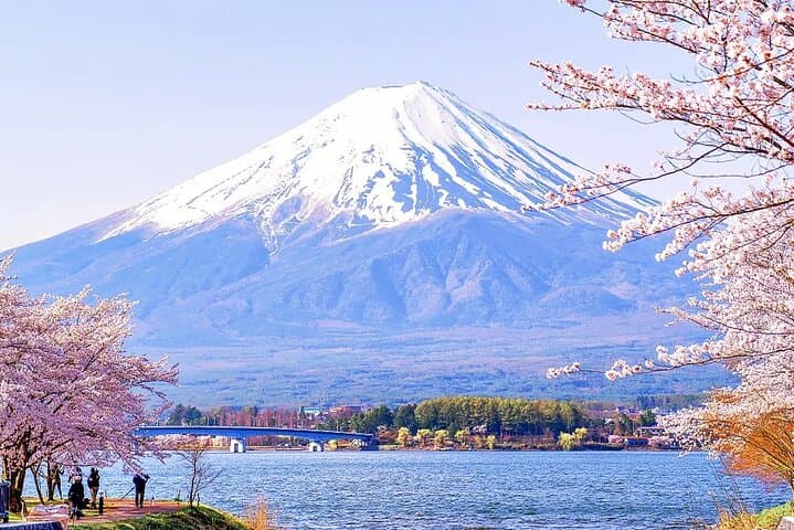 Instagram Mt. Fuji Spots & Kawaguchiko's Four Seasons Flower Tour — photo 12