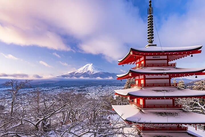 Instagram Mt. Fuji Spots & Kawaguchiko's Four Seasons Flower Tour — photo 13