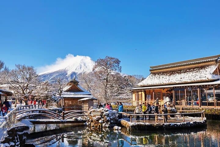 Instagram Mt. Fuji Spots & Kawaguchiko's Four Seasons Flower Tour — photo 15