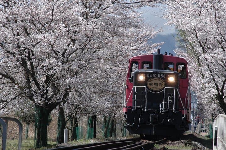 Kyoto Bus Tour: Sagano Railway & Hozugawa River Boat Ride — photo 5