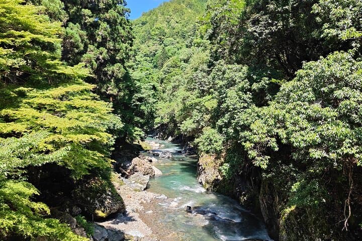 Hiking Kyoto's Highest Mountain: Unravel the Mystery of Mt. Atago — photo 8
