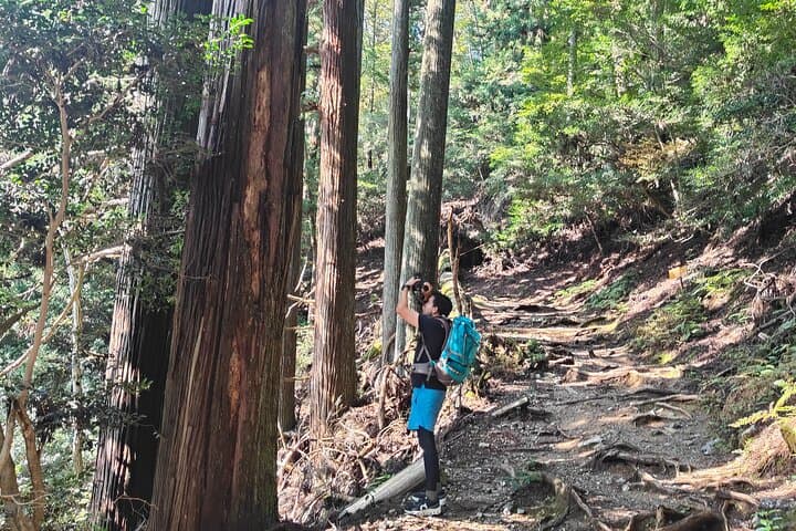 Hiking Kyoto's Highest Mountain: Unravel the Mystery of Mt. Atago — photo 9