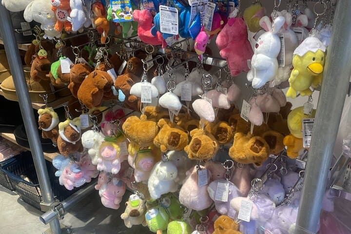 Tokyo: Harajuku "Kawaii" Pop Culture Shopping tour — photo 9