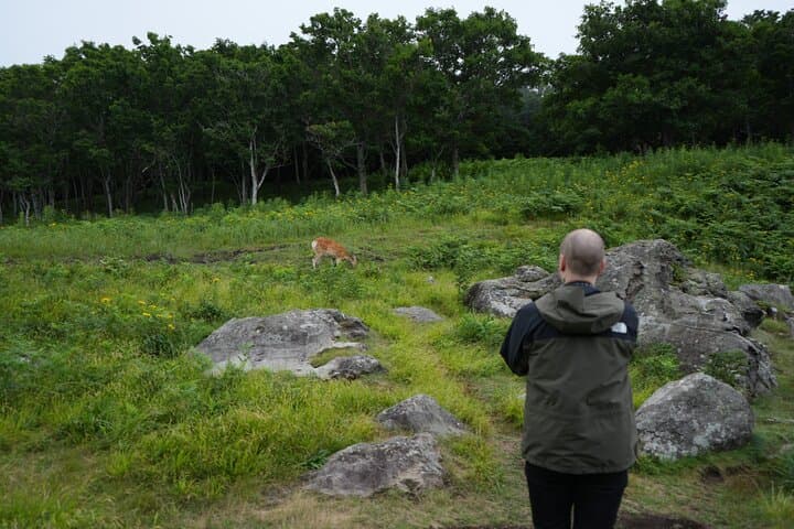 3hours Primeval Forest and Stunning Views of Cliff Trekking Tour — photo 5