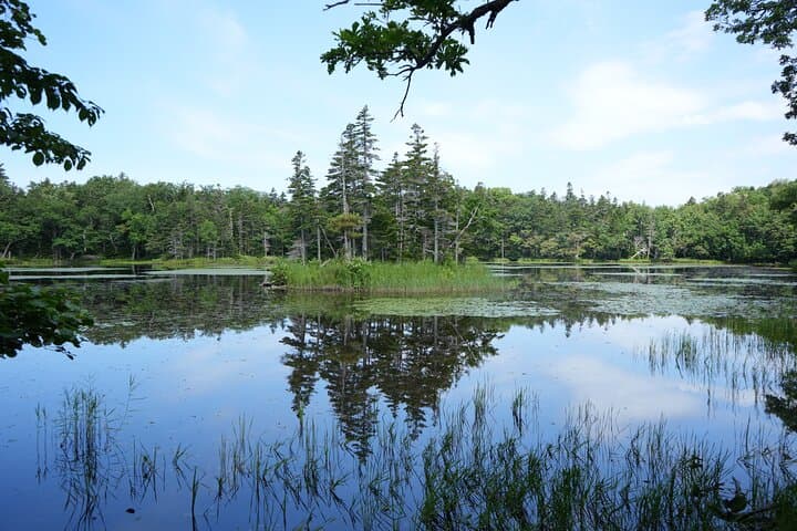 3hours Nature Guided Tour in Shiretoko Five Lakes — photo 4