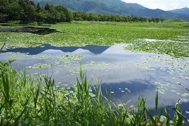 3hours Nature Guided Tour in Shiretoko Five Lakes — photo 5