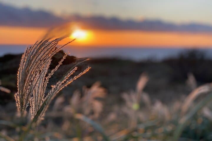 West Izu Sunset Private Tour — photo 7