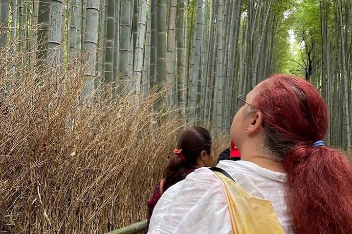 Otagi Nenbutsu Temple and Arashiyama Bamboo Forest Tour — photo 7