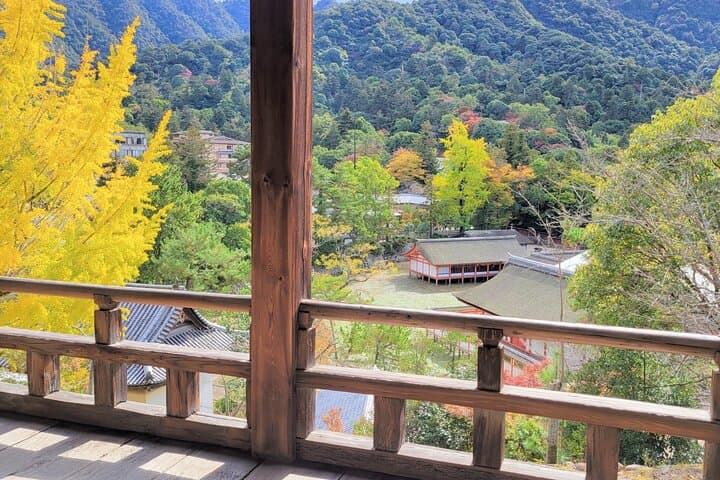 1-Day Miyajima Sightseeing Tour — photo 10