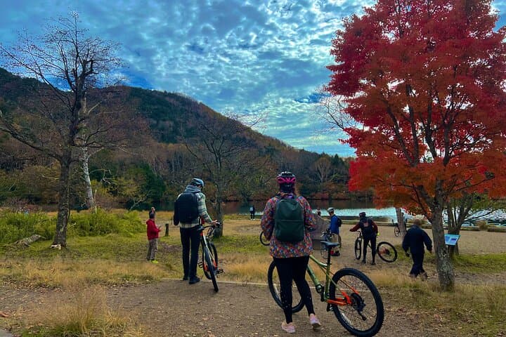 Nikko Cycling Tour with Local Guide — photo 3