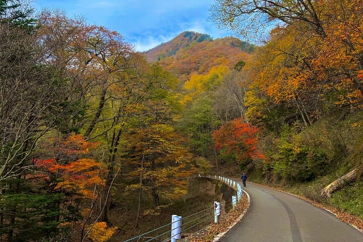 Nikko Cycling Tour with Local Guide — photo 4