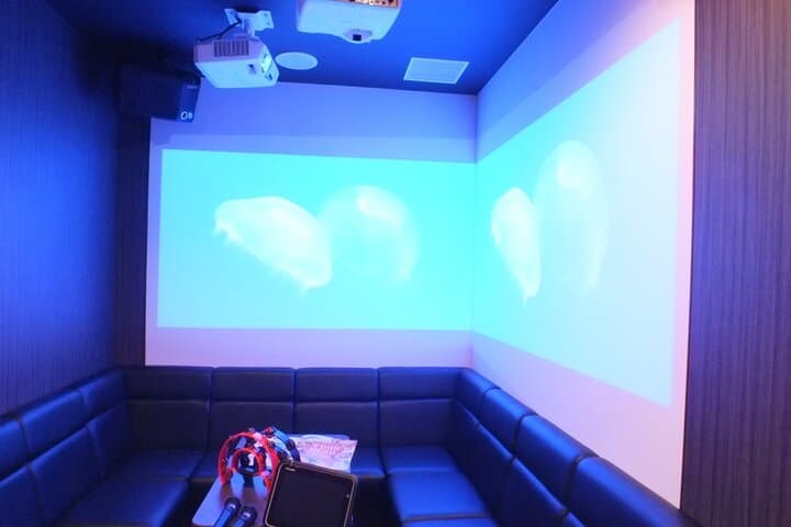 Osaka Karaoke room for 2 Hours with Set Menu and Unlimited Drinks — photo 16