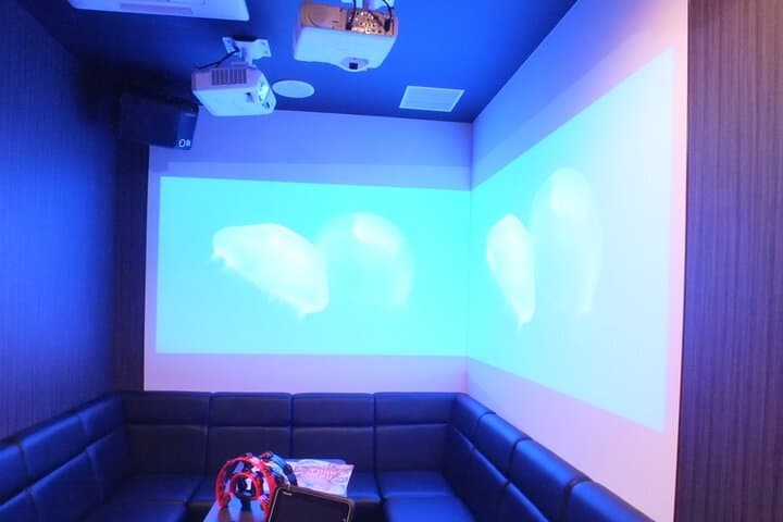 Osaka Karaoke room for 1 Hour with All You Can Drink — photo 10