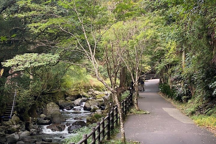 Kawazu Seven Falls Guided Tour — photo 2
