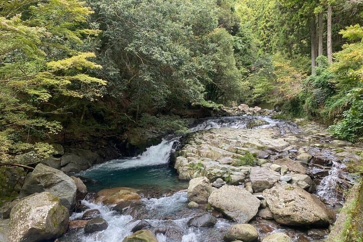 Kawazu Seven Falls Guided Tour — photo 3