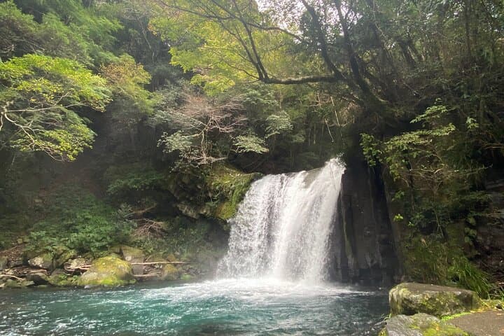 Kawazu Seven Falls Guided Tour — photo 4