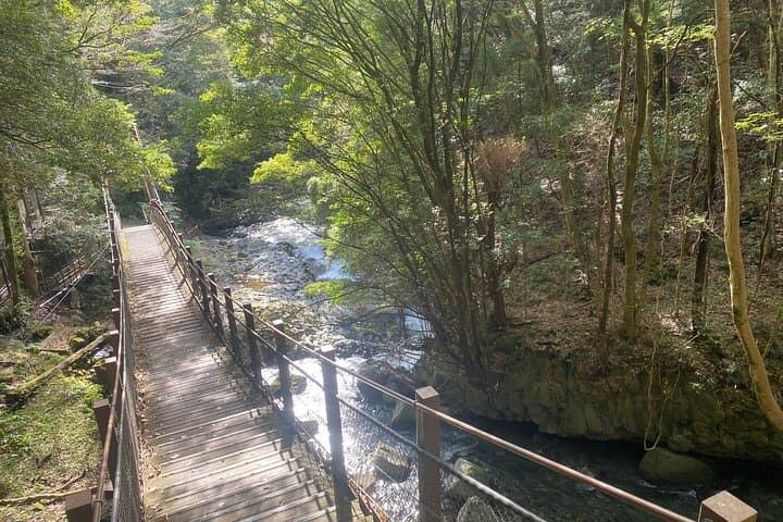 Kawazu Seven Falls Guided Tour — photo 5