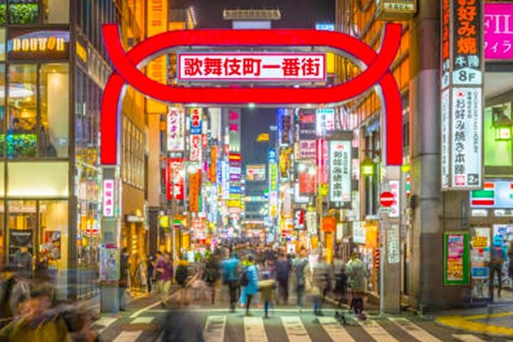 Tokyo: Shinjuku Historical Walking Tour & Secret Backstreets — photo 19