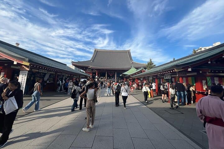 Tokyo Private Tour by Luxury Green Plate Car with Guide — photo 4