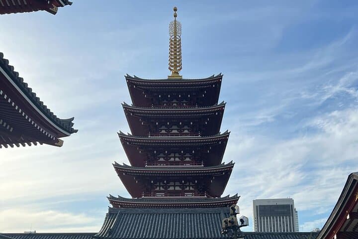 Tokyo Private Tour by Luxury Green Plate Car with Guide — photo 2