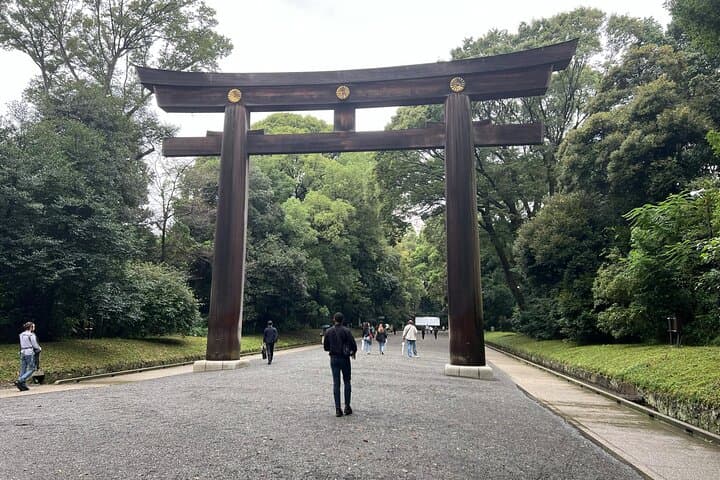 Tokyo Private Tour by Luxury Green Plate Car with Guide — photo 6