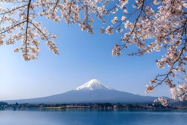 Mount Fuji Luxury Tour in Mercedes-Benz | Green Plate Car — photo 2