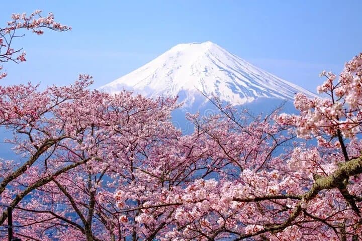 Scenic Fuji Escape: Hakone, Peace Park & More by Green Plate Car — photo 3