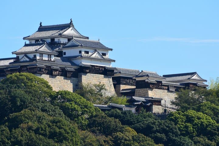 Audio Guided Tour in Matsuyama Castle — photo 2