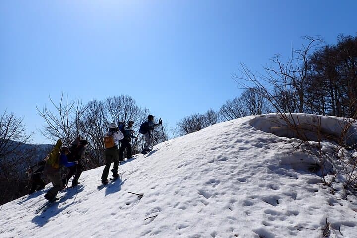 Cape Shakotan Ocean View Walking Path Snowshoeing — photo 2