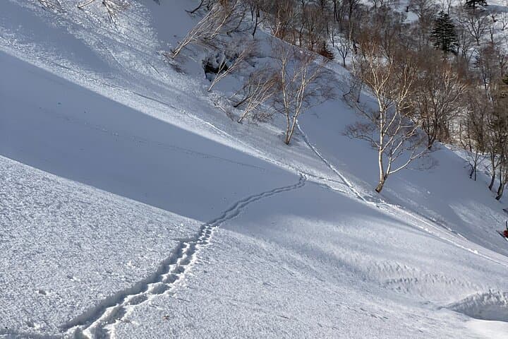 Cape Shakotan Ocean View Walking Path Snowshoeing — photo 5