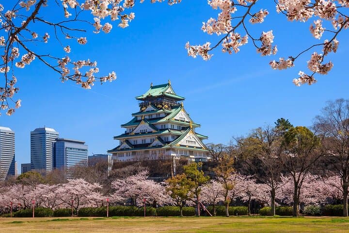 Kansai Airport (KIX) Transfer to Osaka/Kobe/Kyoto/Nara/Wakayama — photo 6